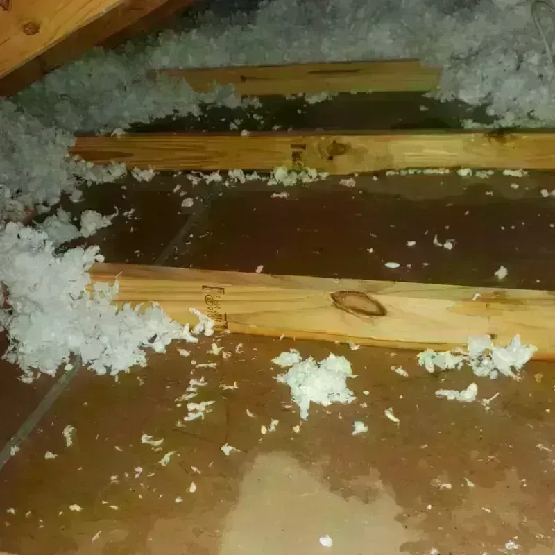 Attic Water Damage in Metropolis, IL