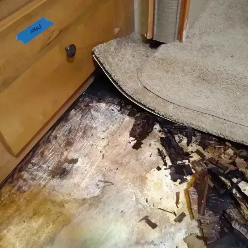 Wood Floor Water Damage in Metropolis, IL